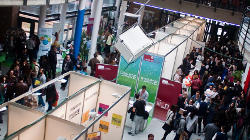 Feria de búsqueda de empleo