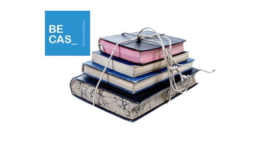 Tribunal constitucional