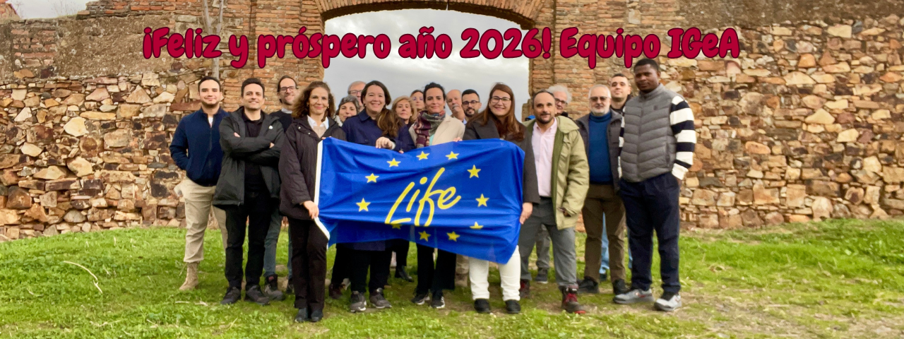 El Instituto de Geología Aplicada (IGeA-UCLM) les desea un feliz y próspero año 2026