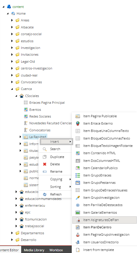 Imagen de como añadir un Item AsignaturasdelPlan
