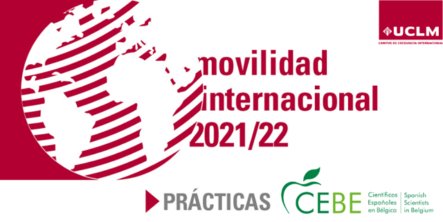 imagen logo CEBE