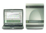 qPCR