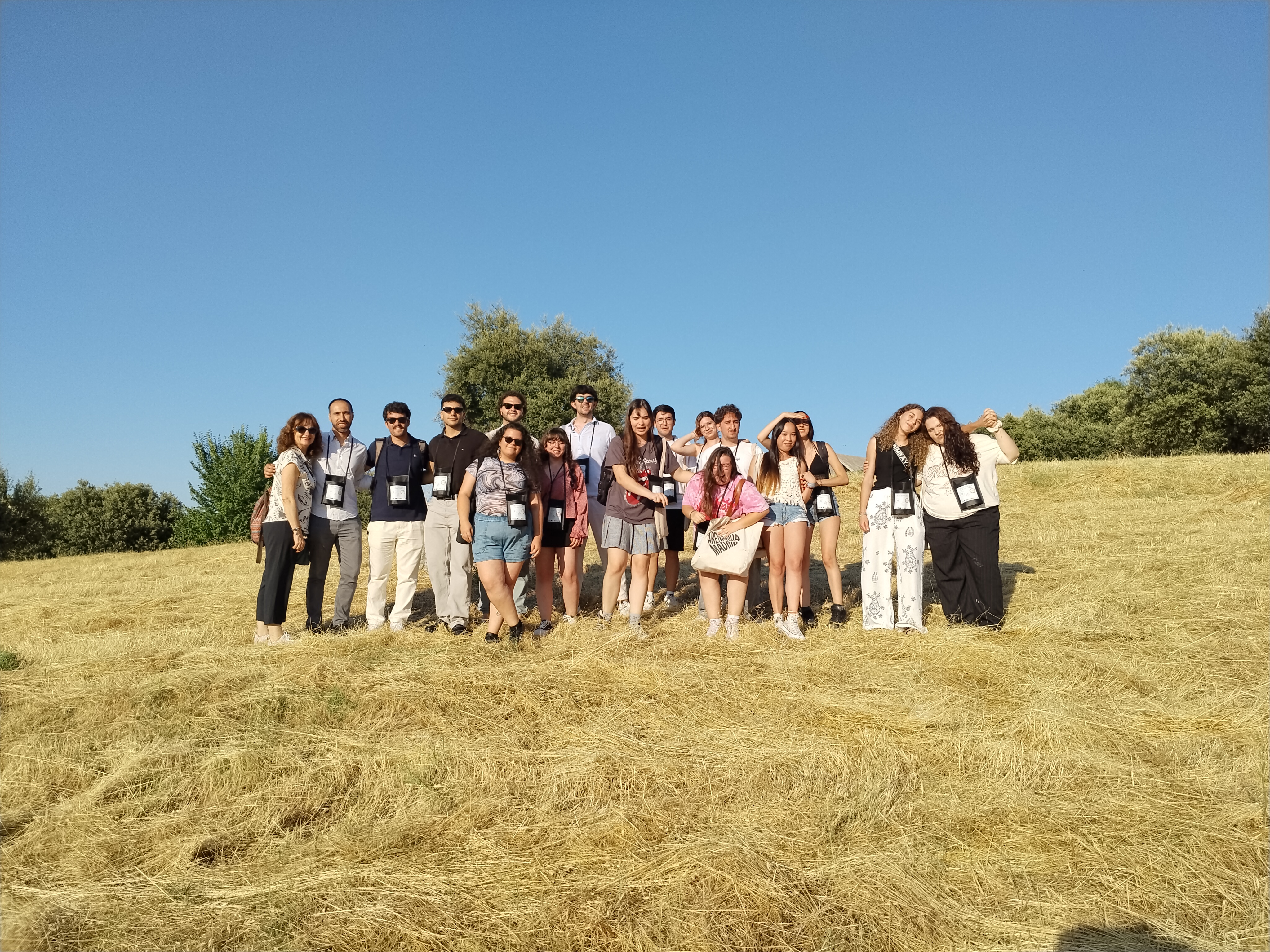 Cursos de verano