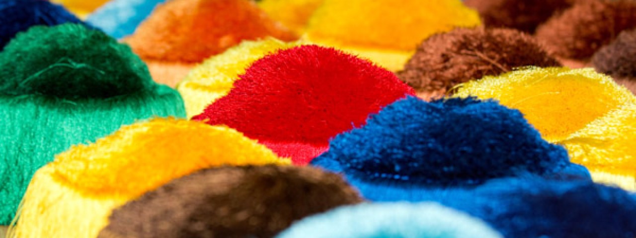 Rama de Ciencias Sociales y Jurídicas