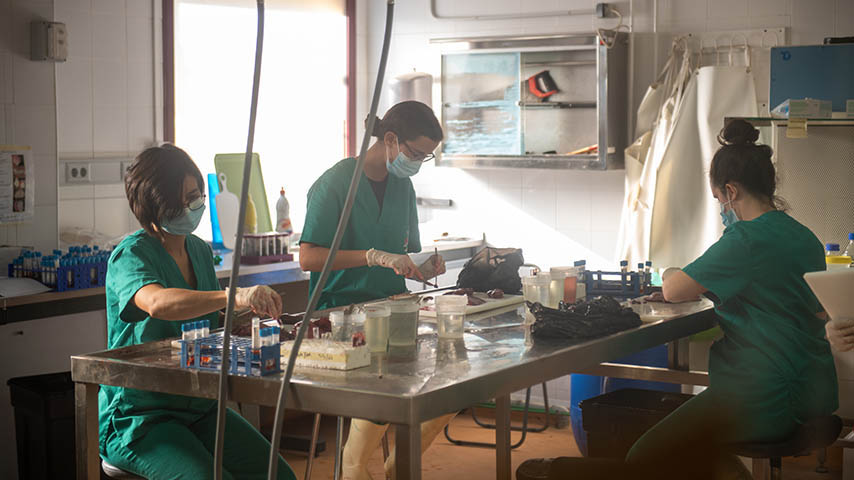 IREC staff in the laboratory