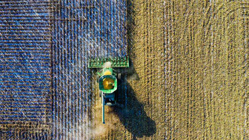 Residuos agrícolas como solución verde: 