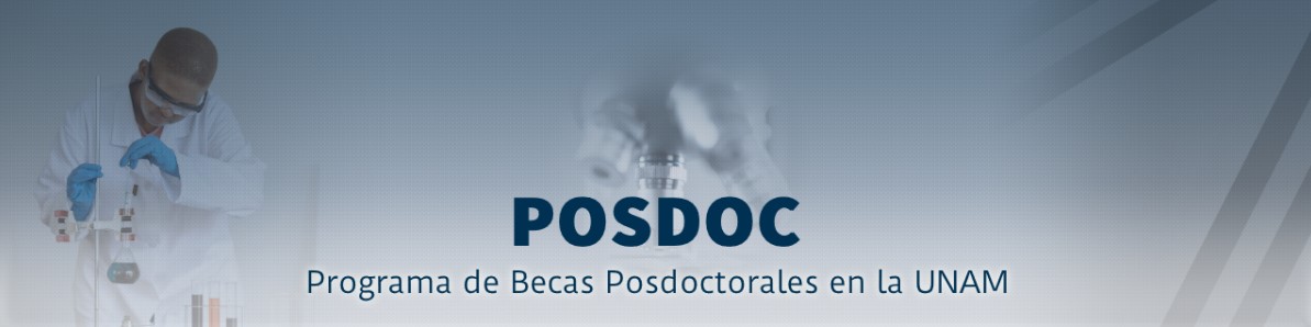 Postdoc_UNAM_MX_2025